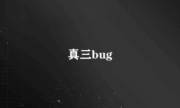 真三bug