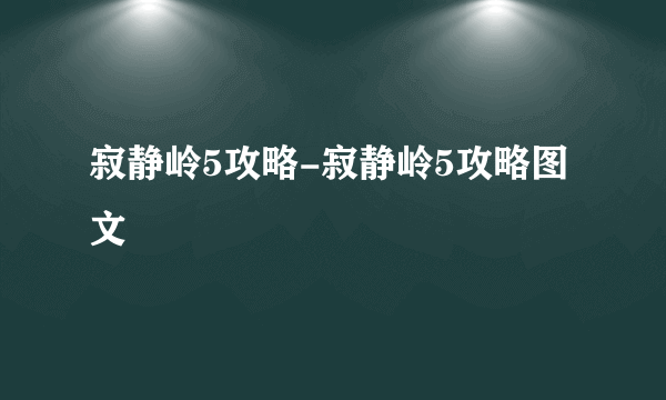 寂静岭5攻略-寂静岭5攻略图文