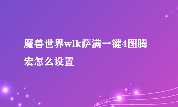 魔兽世界wlk萨满一键4图腾宏怎么设置