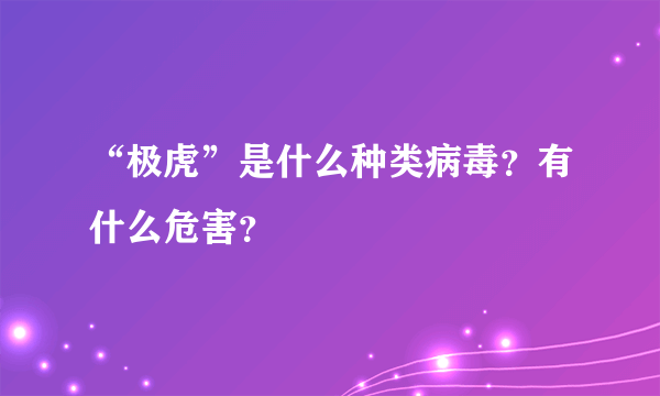 “极虎”是什么种类病毒？有什么危害？