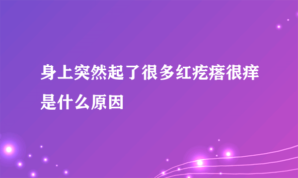 身上突然起了很多红疙瘩很痒是什么原因