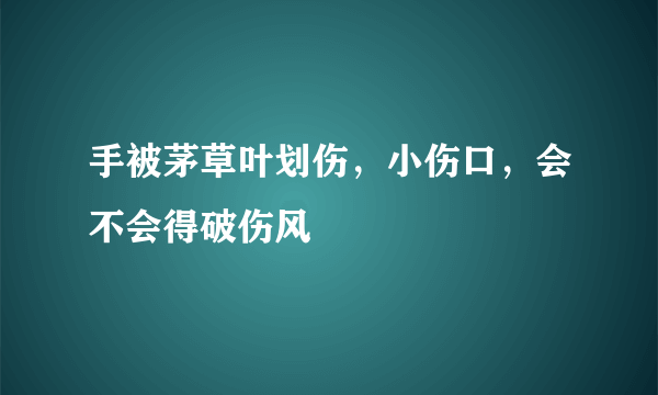 手被茅草叶划伤，小伤口，会不会得破伤风