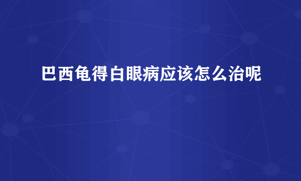 巴西龟得白眼病应该怎么治呢