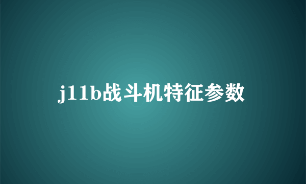 j11b战斗机特征参数