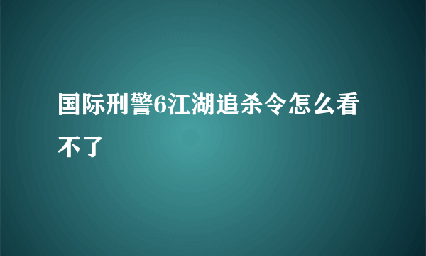 国际刑警6江湖追杀令怎么看不了