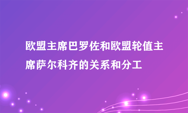 欧盟主席巴罗佐和欧盟轮值主席萨尔科齐的关系和分工