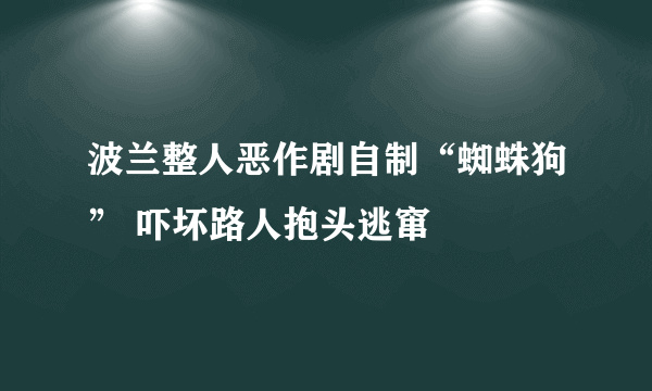 波兰整人恶作剧自制“蜘蛛狗” 吓坏路人抱头逃窜