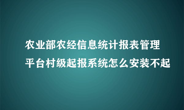 农业部农经信息统计报表管理平台村级起报系统怎么安装不起