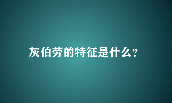 灰伯劳的特征是什么？