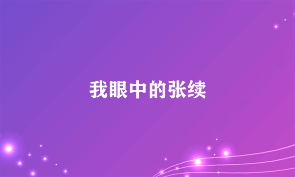 我眼中的张续