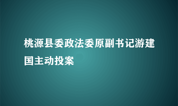 桃源县委政法委原副书记游建国主动投案