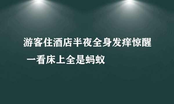 游客住酒店半夜全身发痒惊醒 一看床上全是蚂蚁