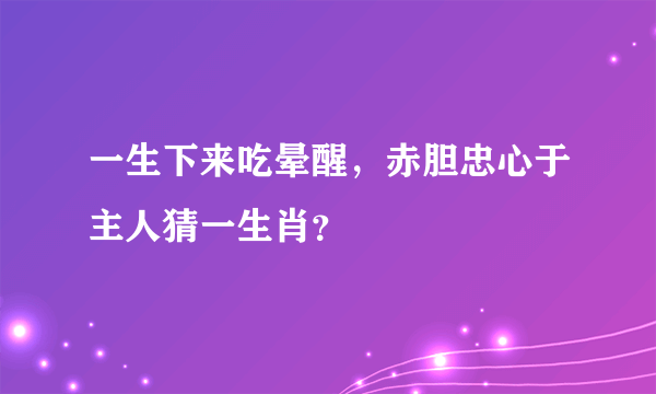 一生下来吃晕醒，赤胆忠心于主人猜一生肖？