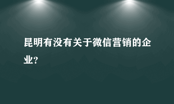 昆明有没有关于微信营销的企业？