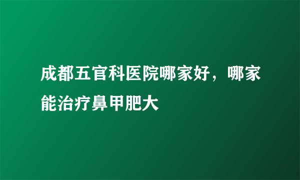 成都五官科医院哪家好，哪家能治疗鼻甲肥大