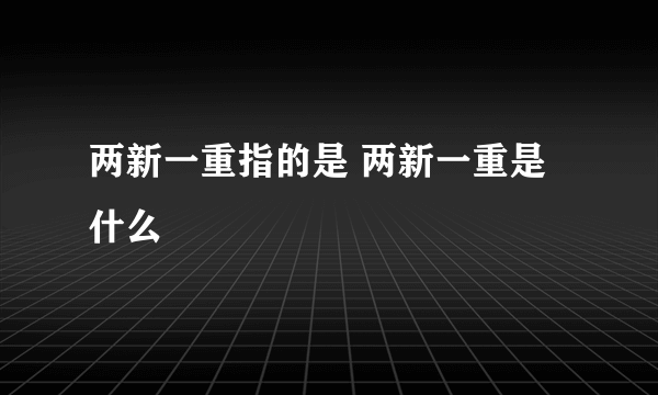 两新一重指的是 两新一重是什么