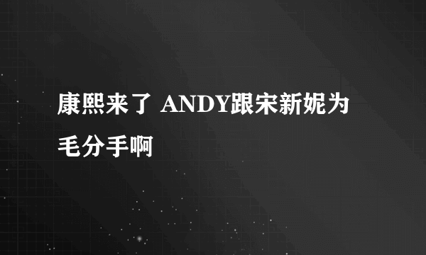 康熙来了 ANDY跟宋新妮为毛分手啊