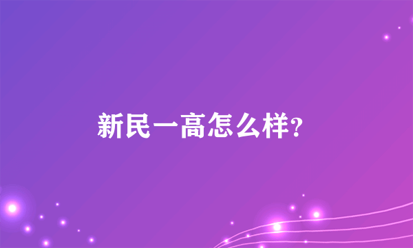 新民一高怎么样？