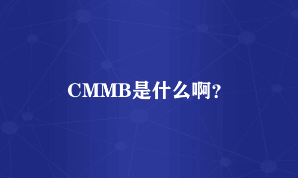 CMMB是什么啊？