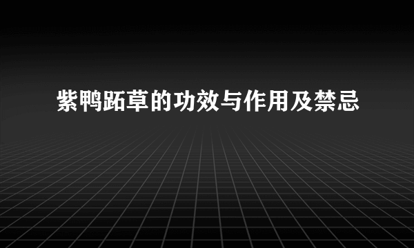 紫鸭跖草的功效与作用及禁忌