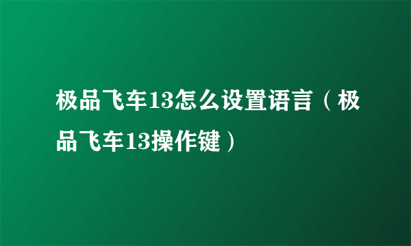 极品飞车13怎么设置语言（极品飞车13操作键）