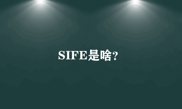 SIFE是啥？