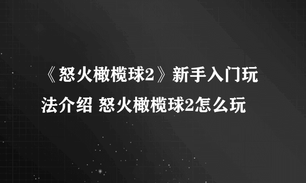 《怒火橄榄球2》新手入门玩法介绍 怒火橄榄球2怎么玩