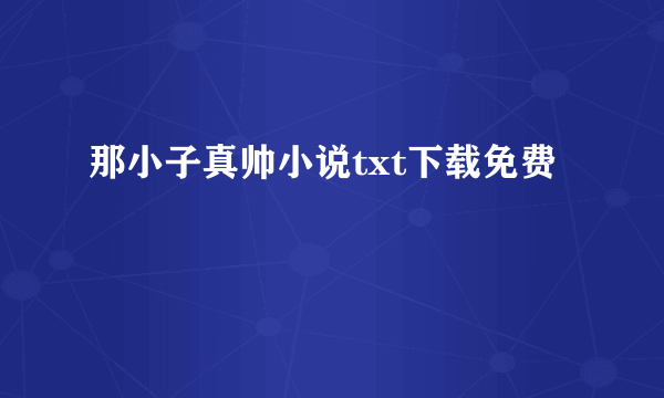 那小子真帅小说txt下载免费