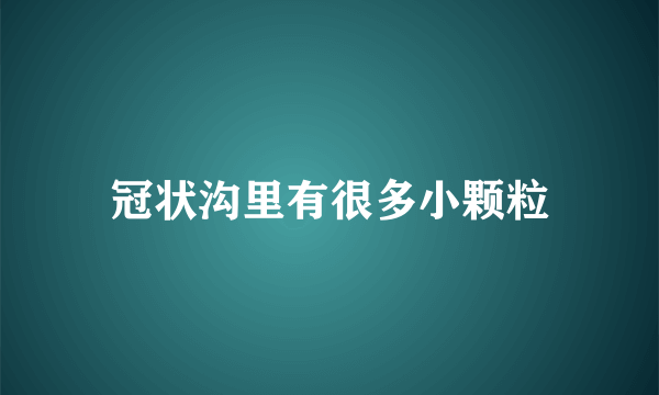 冠状沟里有很多小颗粒