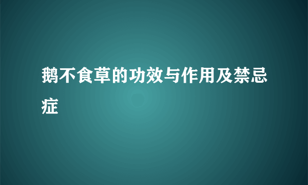 鹅不食草的功效与作用及禁忌症