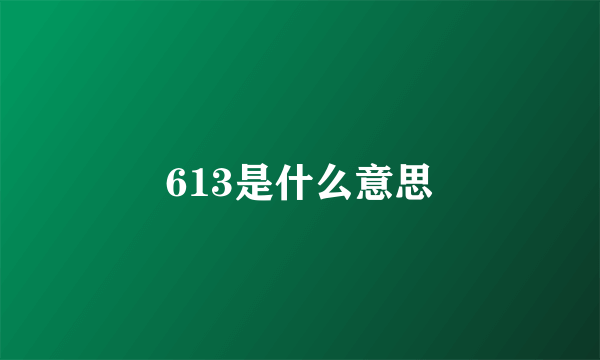 613是什么意思