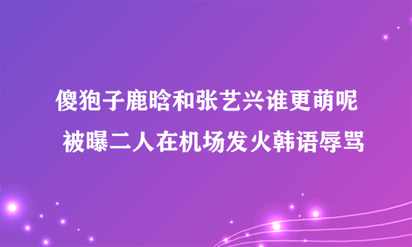 傻狍子鹿晗和张艺兴谁更萌呢 被曝二人在机场发火韩语辱骂