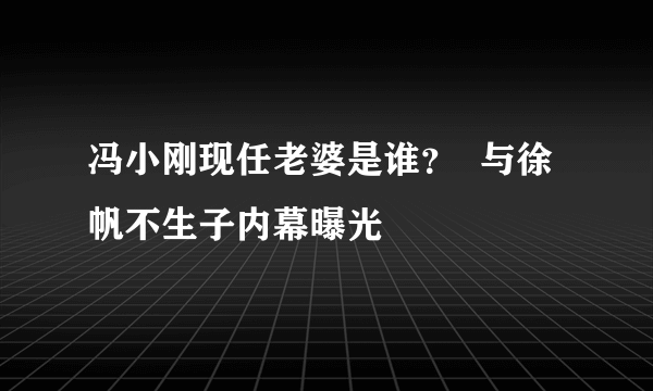 冯小刚现任老婆是谁？  与徐帆不生子内幕曝光