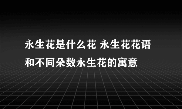 永生花是什么花 永生花花语和不同朵数永生花的寓意