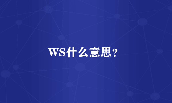 WS什么意思？