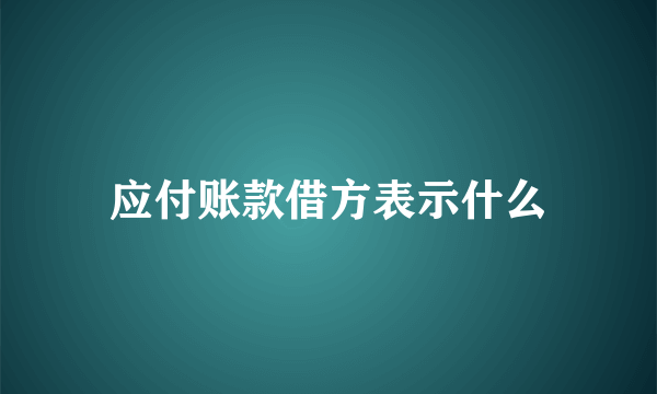 应付账款借方表示什么