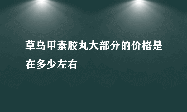 草乌甲素胶丸大部分的价格是在多少左右