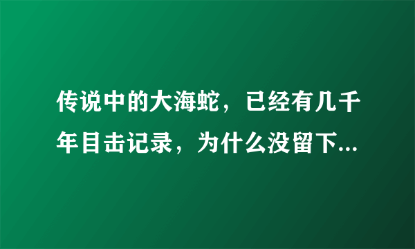 传说中的大海蛇，已经有几千年目击记录，为什么没留下任何证据？