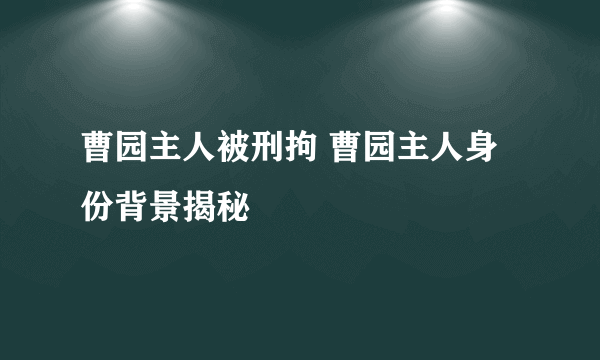 曹园主人被刑拘 曹园主人身份背景揭秘