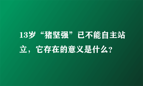 13岁“猪坚强”已不能自主站立，它存在的意义是什么？