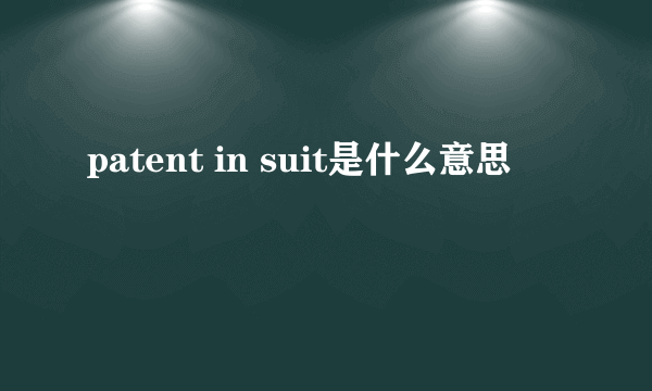 patent in suit是什么意思