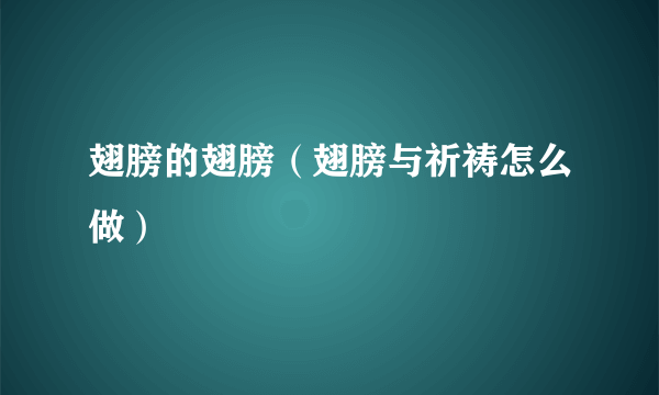 翅膀的翅膀（翅膀与祈祷怎么做）