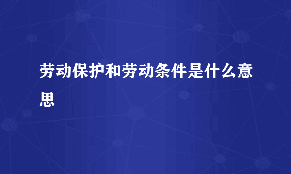 劳动保护和劳动条件是什么意思