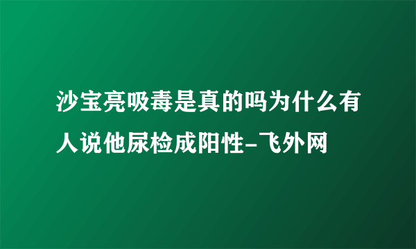 沙宝亮吸毒是真的吗为什么有人说他尿检成阳性-飞外网