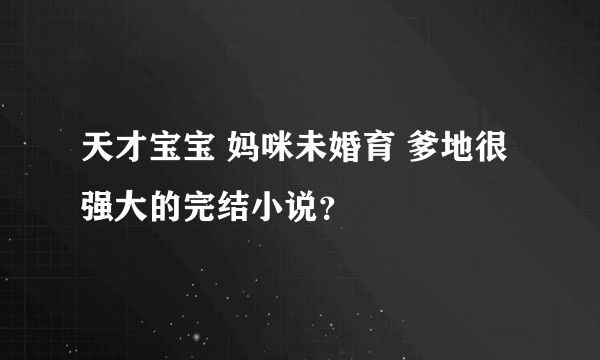 天才宝宝 妈咪未婚育 爹地很强大的完结小说？