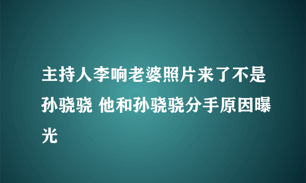 主持人李响老婆照片来了不是孙骁骁 他和孙骁骁分手原因曝光