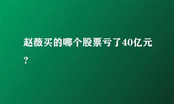 赵薇买的哪个股票亏了40亿元？