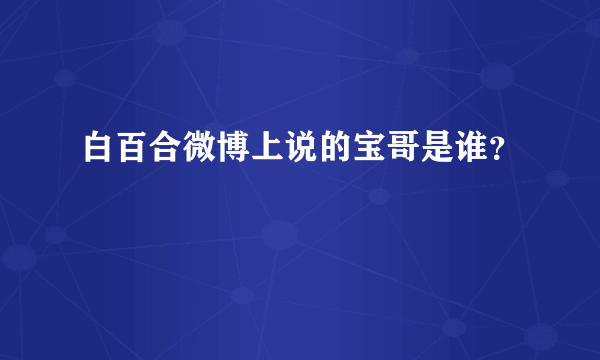 白百合微博上说的宝哥是谁？