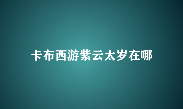 卡布西游紫云太岁在哪