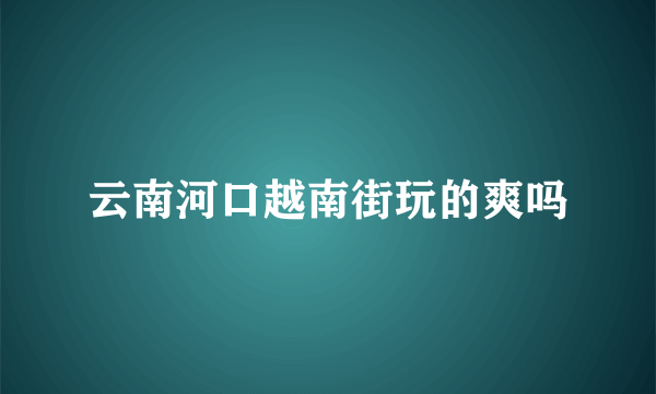 云南河口越南街玩的爽吗